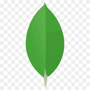 MongoDB